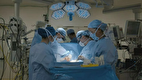 یک جراحی عجیب | پیوند خرطوم فیل منجمد به قلب زن ۷۰ ساله