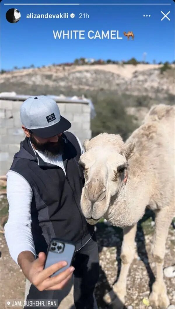 عکس | سلفی خواننده معروف با ژستی دور از انتظار!