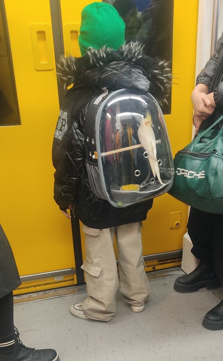 عکس | این پسربچه مترو تهران را بهم‌ ریخت