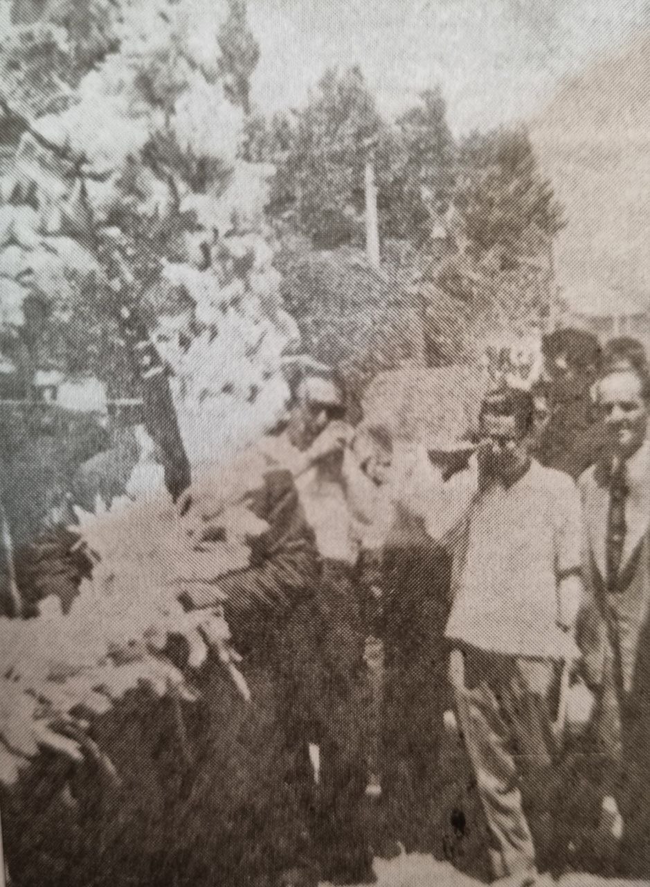 تصاویر | خاکسپاری خواننده زن ایرانی که خبرساز شد!