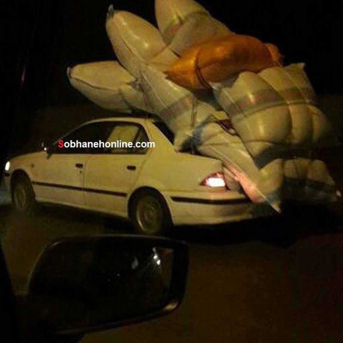 عکس | سمندی که به کمپین «نه به وانت» پیوست