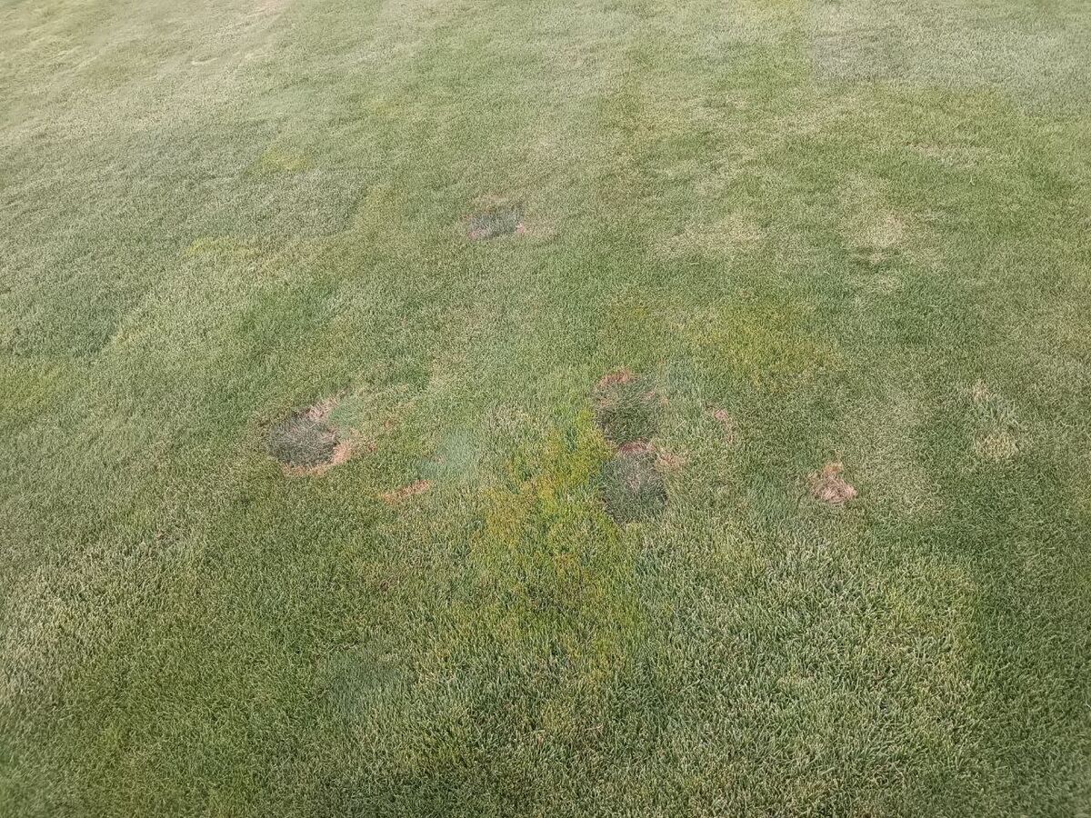 عکس | وضعیت بسیار بد بهترین ورزشگاه ایران سوژه شد