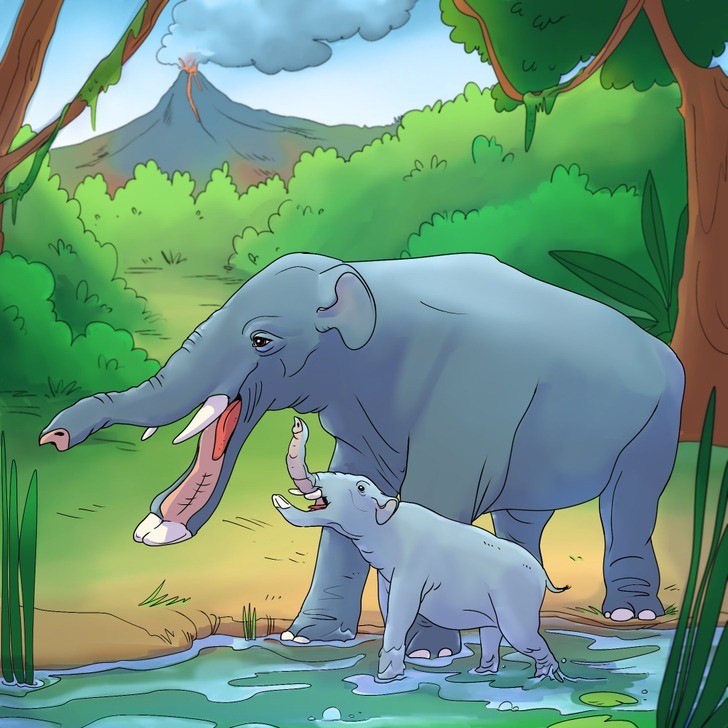 ۸ موجود عجیب الخلقه که پیش از انسان روی کره زمین زندگی میکردند! ۸ موجود عجیب الخلقه که پیش از انسان روی کره زمین زندگی میکردند!