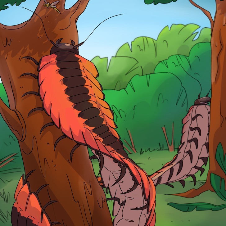 ۸ موجود عجیب الخلقه که پیش از انسان روی کره زمین زندگی میکردند! ۸ موجود عجیب الخلقه که پیش از انسان روی کره زمین زندگی میکردند!