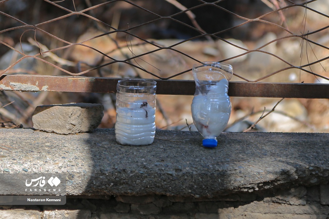 عکس | وضعیت عجیب نگهداری مدارک صحنه قتل داریوش مهرجویی