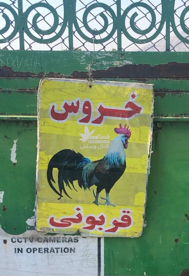 عکس | حرکت عجیب یک مرکز تعویض پلاک در تهران