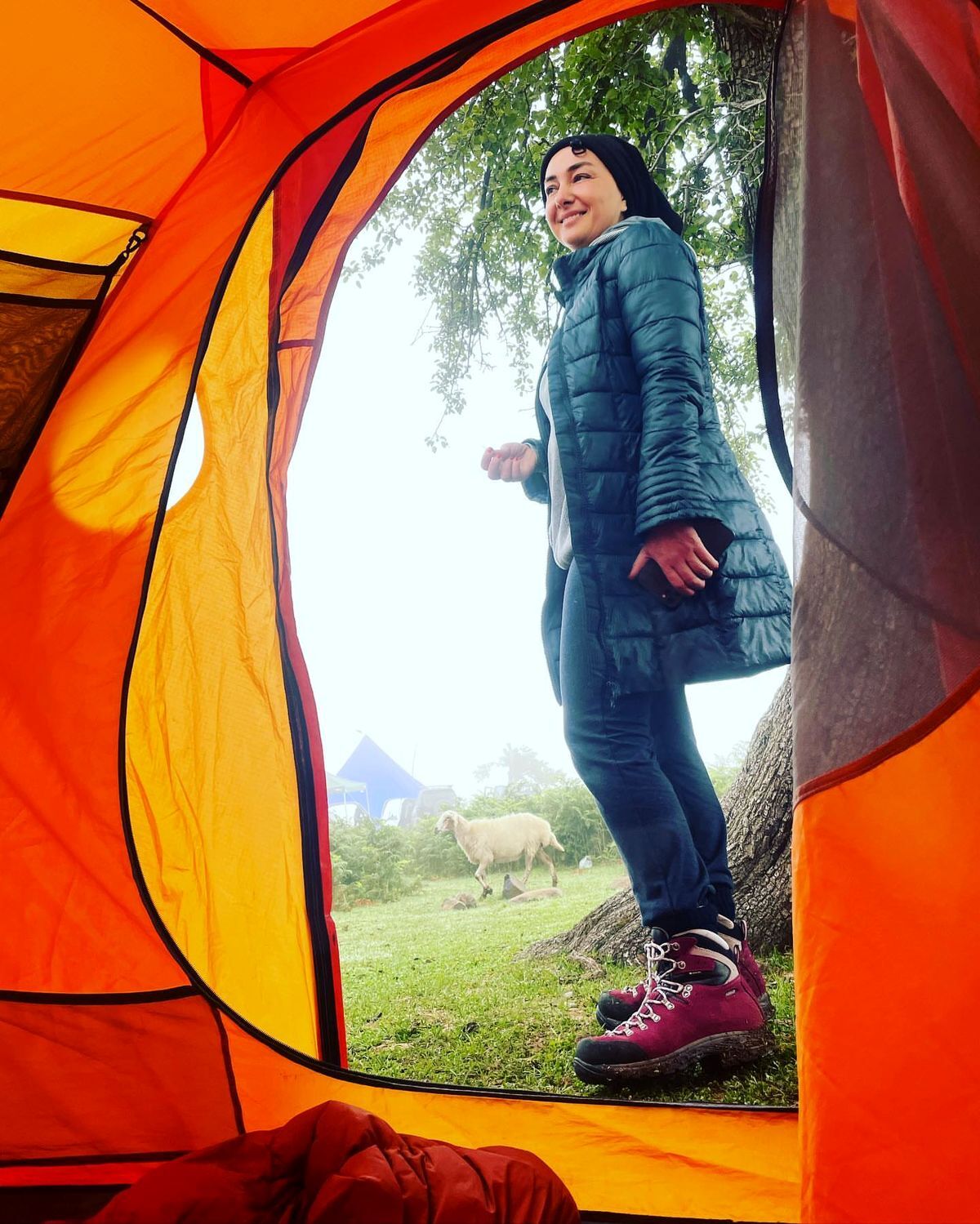 اتهامزنی به هانیه توسلی در ارتباط با پرونده قتل مهرجویی اتهامزنی به هانیه توسلی در ارتباط با پرونده قتل مهرجویی