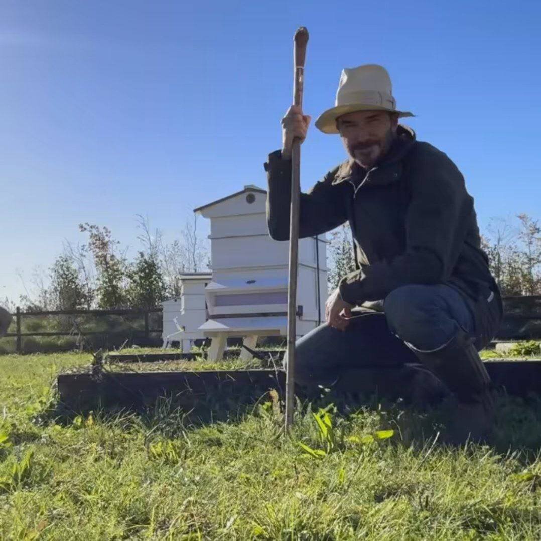 عکس | ستاره افسانه‌ای فوتبال کشاورز شد