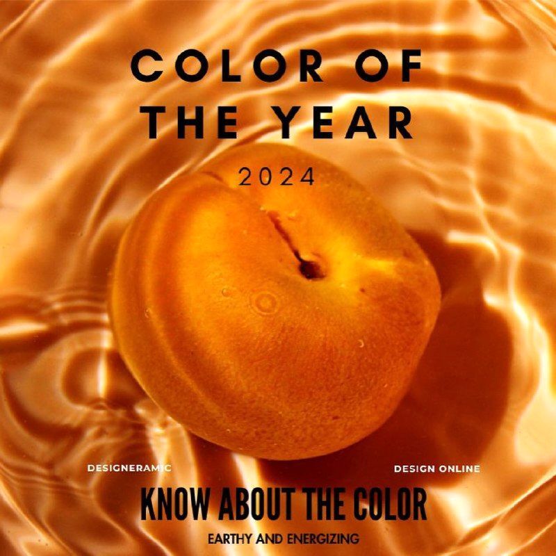 رنگ سال ۲۰۲۴ انتخاب شد | چه کسی رنگ سال را انتخاب می‌کند؟