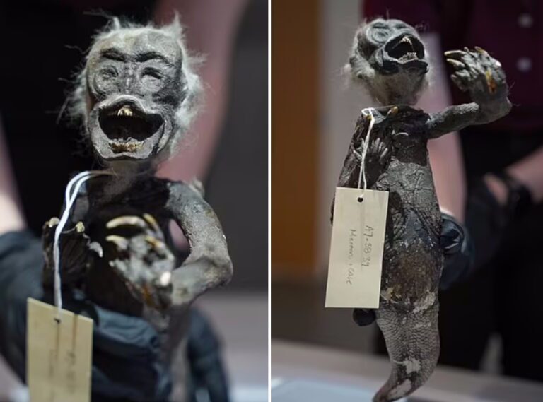 عکس | کشف یک موجود عجیب ترکیبی از ماهی، میمون و یک خزنده