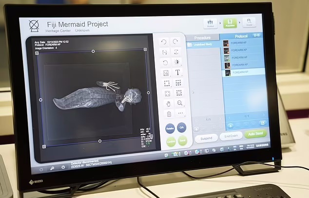 عکس | کشف یک موجود عجیب ترکیبی از ماهی، میمون و یک خزنده