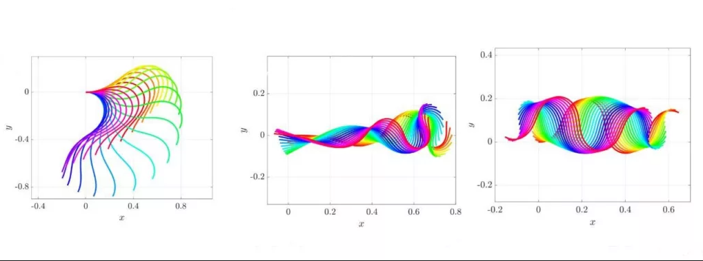 وقتی اسپرم‌ها قانون سوم نیوتن را نقض می‌کنند
