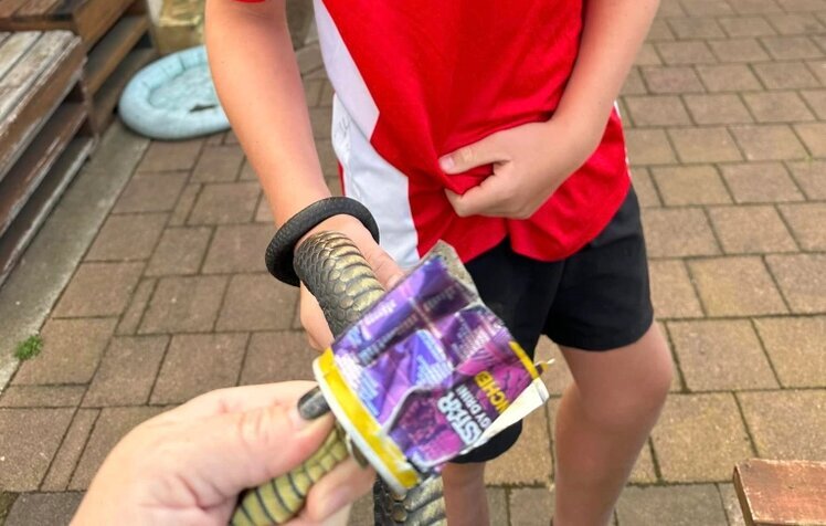 عکس | نجات یک مار سمی از قوطی نوشابه!