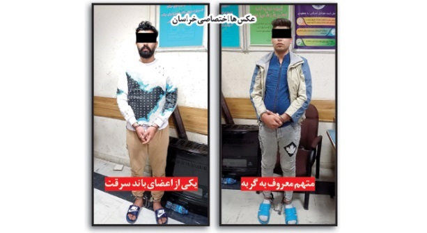 عکس | «گربه لیفان‌سوار» کیست و چرا در مشهد بازداشت شد ؟