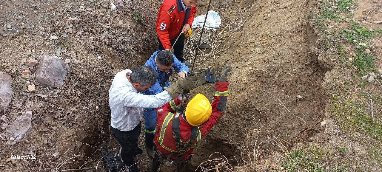 عکس | عملیات ۴ ساعته آتش‌نشانان مرندی برای نجات یک سگ