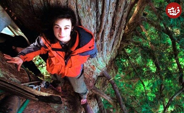 عکس | این دختر ۲ سال روی درختی با ارتفاع ۵۴ متر زندگی کرد! عکس | این دختر ۲ سال روی درختی با ارتفاع ۵۴ متر زندگی کرد!