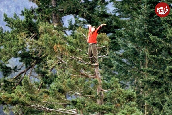 عکس | این دختر ۲ سال روی درختی با ارتفاع ۵۴ متر زندگی کرد! عکس | این دختر ۲ سال روی درختی با ارتفاع ۵۴ متر زندگی کرد!