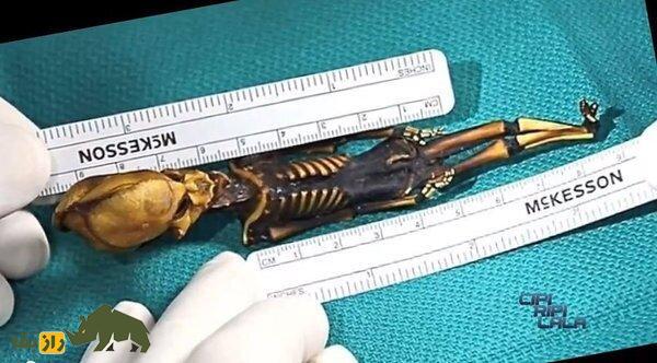 مومیایی عجیب‌ الخلقه آتاکاما مرموزترین معمای جهان شد | اسکلت ترسناک ۱۵ سانتی‌متری آتا