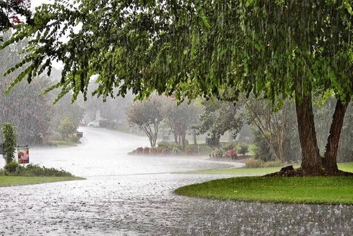 این استان‌ها بارانی می‌شودند | فعالیت سامانه بارشی در کشور امروز ۱۵ خرداد ۱۴۰۳