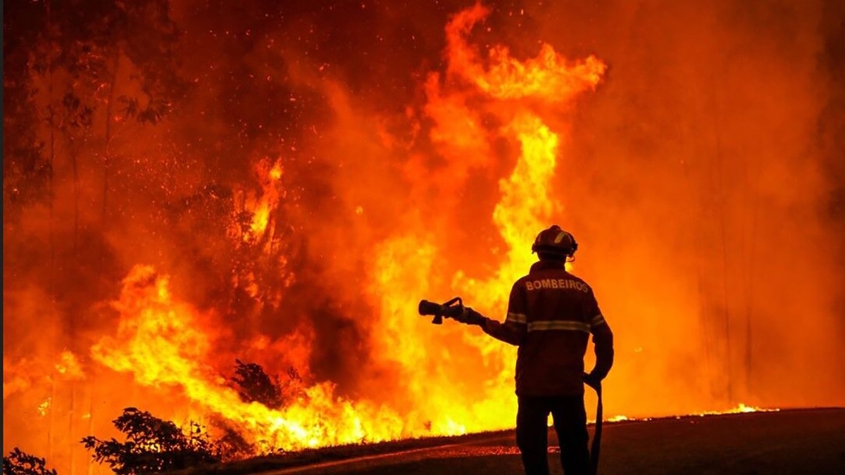 پدیده شاندیز مشهد در آتش سوخت | مصدومیت ۵ کارگر رستوران