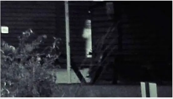 عکس | تصویری وحشتناک از روح یک پسر بچه در جشن عروسی را ببینید!