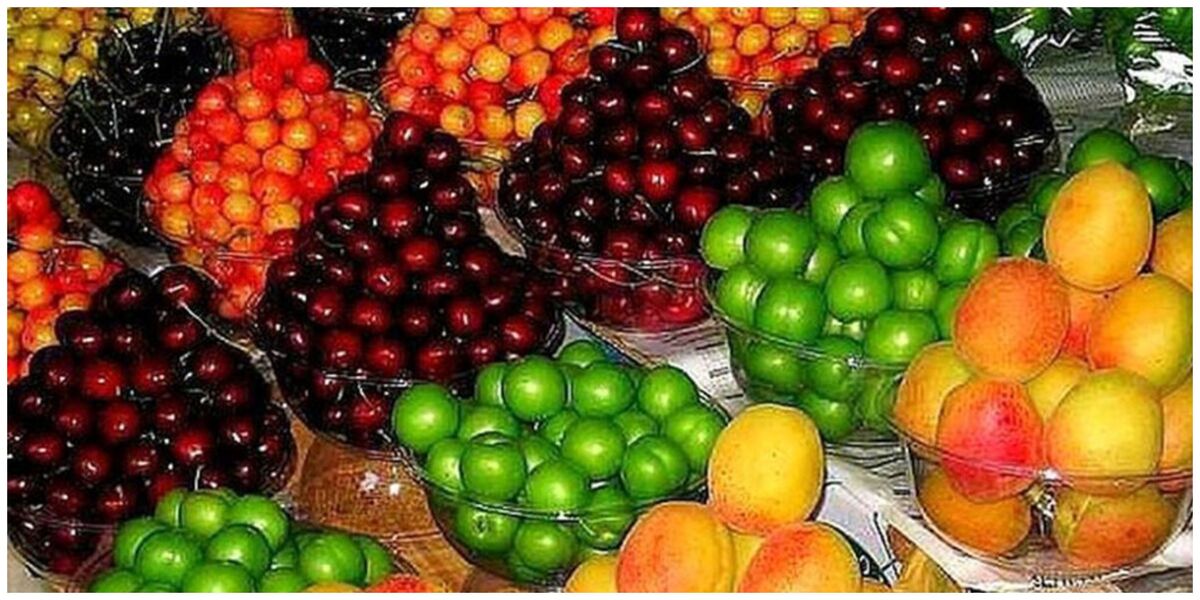 قیمت میوه‌های نوبرانه در بازار چقدر است ؟