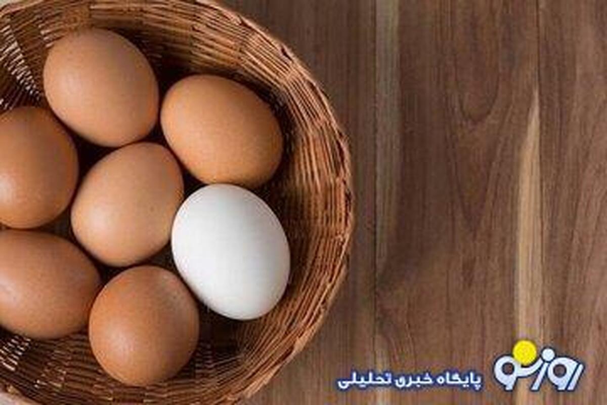 تخم مرغ سفید ارزش غذایی بیشتری دارد یا تخم مرغ سفید؟!