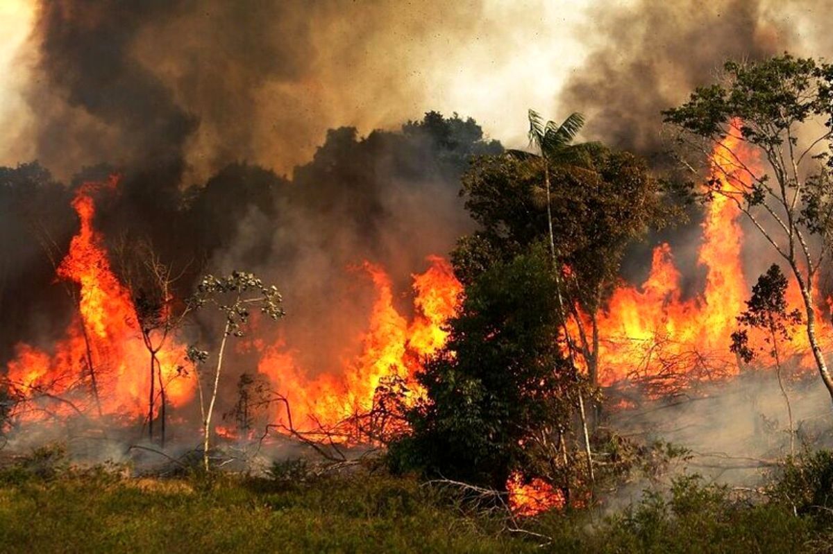 آتش‌سوزی هولناک جنگل‌های جنوب خرم‌آباد | عامل آتش سوزی شناسایی شد