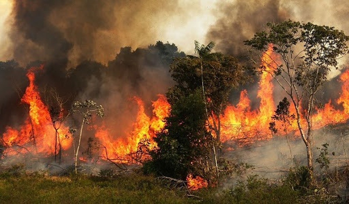 آتش سوزی‌های هولناک جنگل‌های لرستان | ۱۷ نفر دستگیر شدند