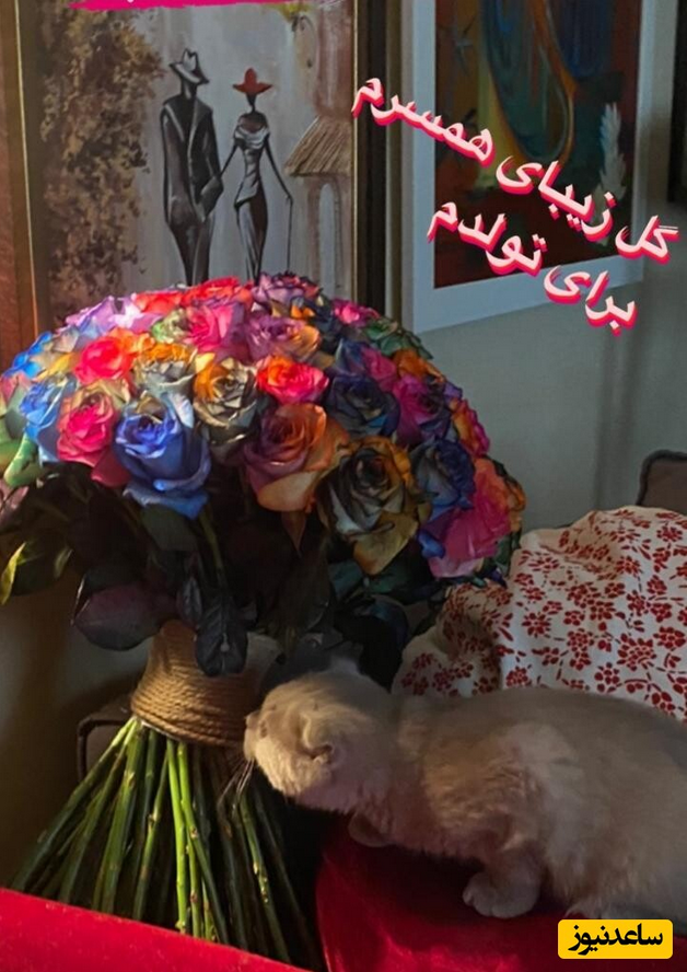 عکس | همسر بهنوش بختیاری چه هدیه‌ای برای تولدش داد؟!