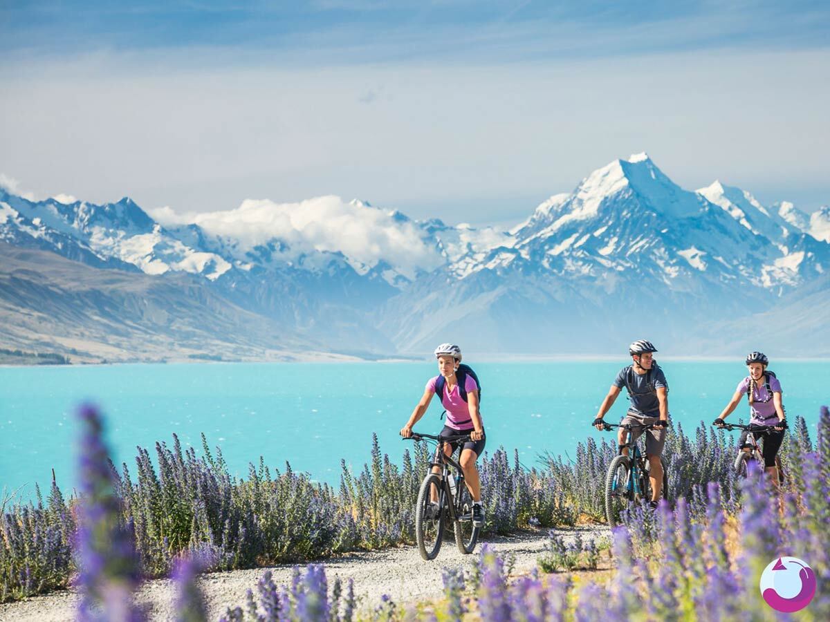 چگونه از تورهای مسافرتی جدید و پرطرفدار با خبر شویم؟