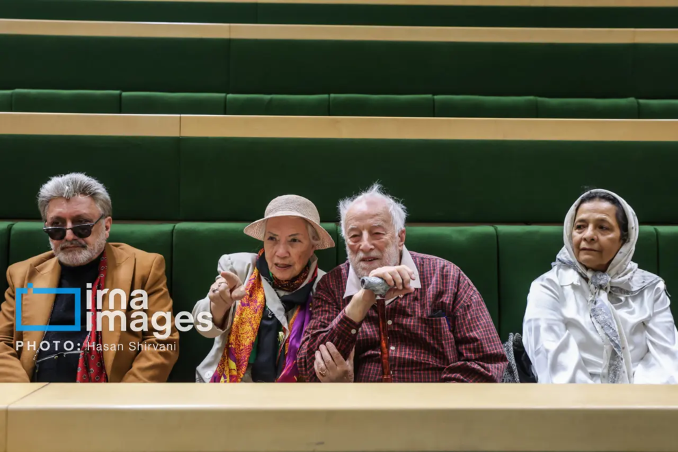 عکس | تصویر جالب از زنی که با کلاه در مجلس حاضر شد!