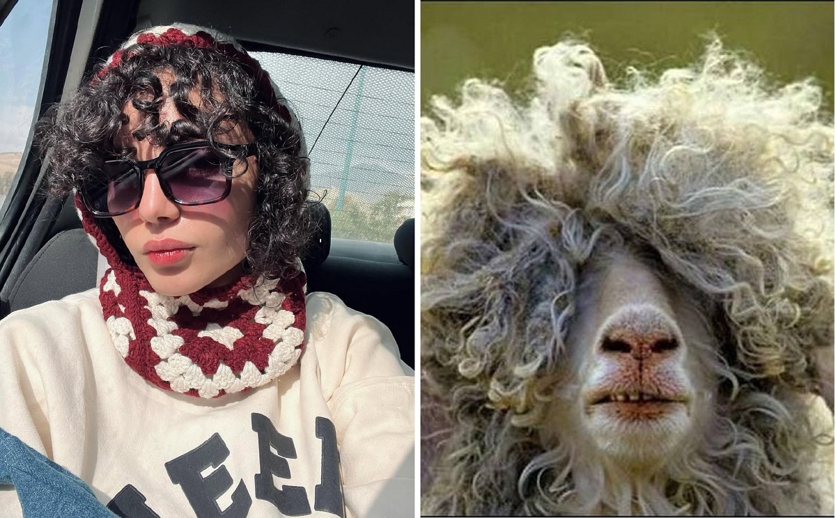 عکس | ترلان پروانه با این عکس خودش را مسخره کرد! عکس | ترلان پروانه با این عکس خودش را مسخره کرد!