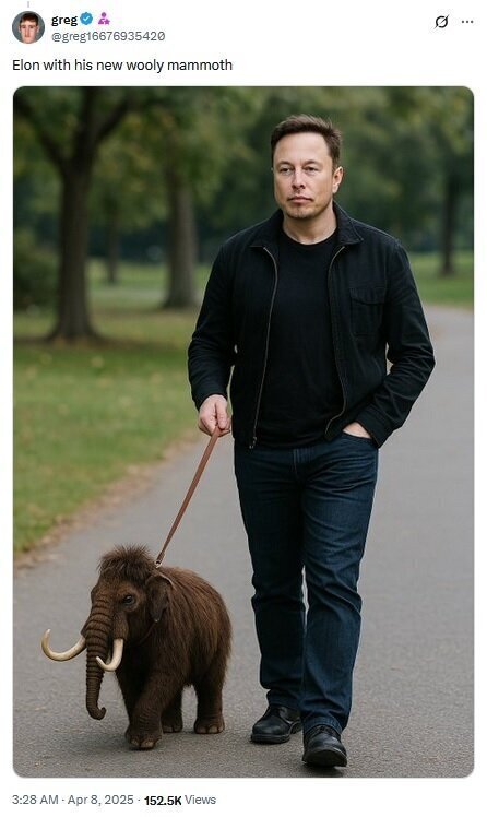 باورکردنی نیست! حیوان خانگی عجیب ایلان ماسک چیست؟!