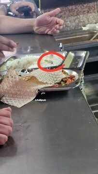 در غذای یک دانشگاه مارمولک پیدا شد!