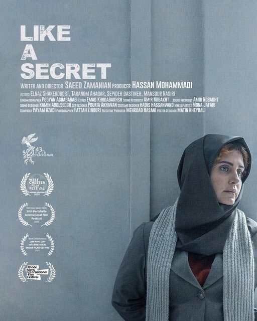 خبر جدید درباره زمان اکران آنلاین فیلمی با بازی الناز شاکردوست