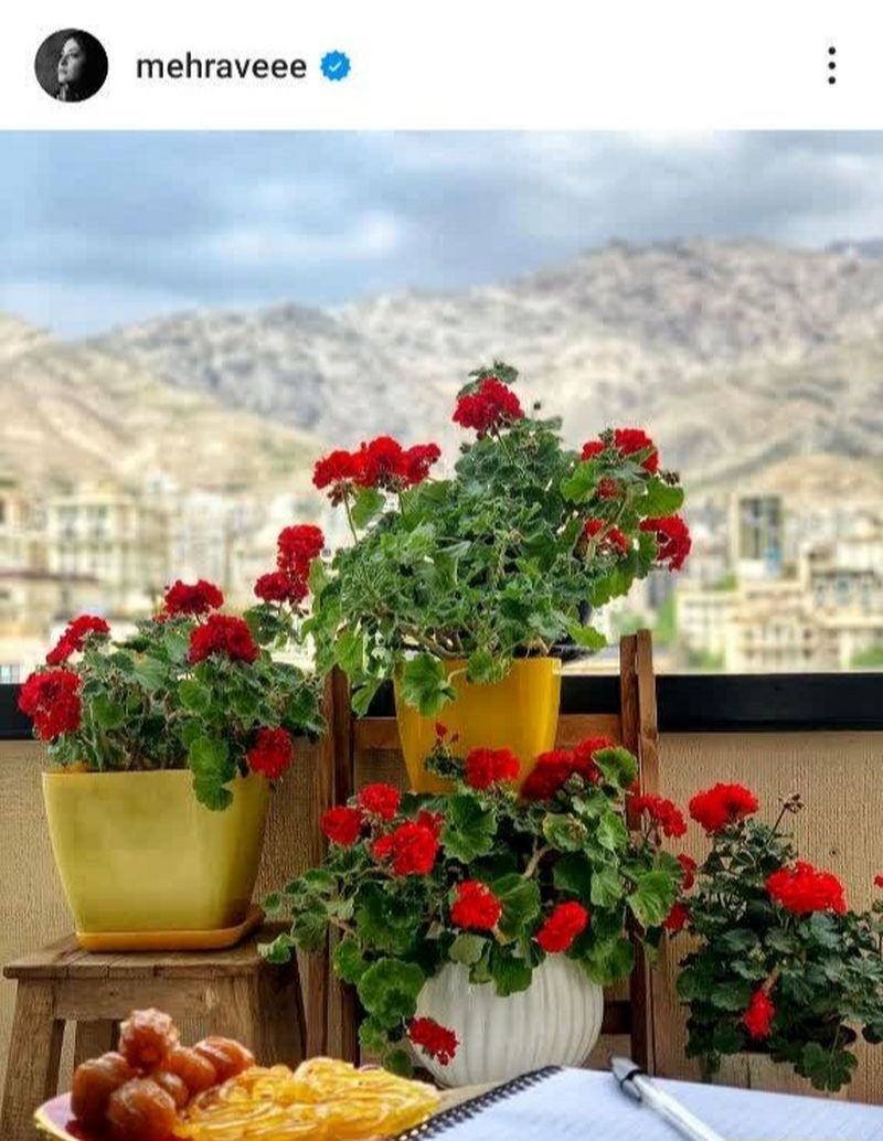 عکس | مدیتیشن خاص مهراوه شریفینیا در خانهاش عکس | مدیتیشن خاص مهراوه شریفینیا در خانهاش