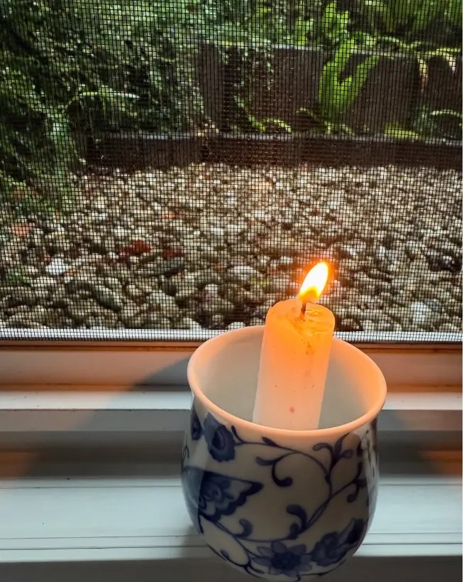 عکس | مهناز افشار عزادار شد