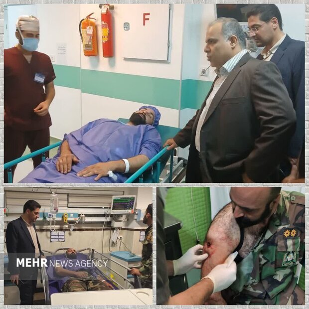 مرگ فرمانده یگان منابع طبیعی شمیرانات در پی حمله سودجویان ناشناس