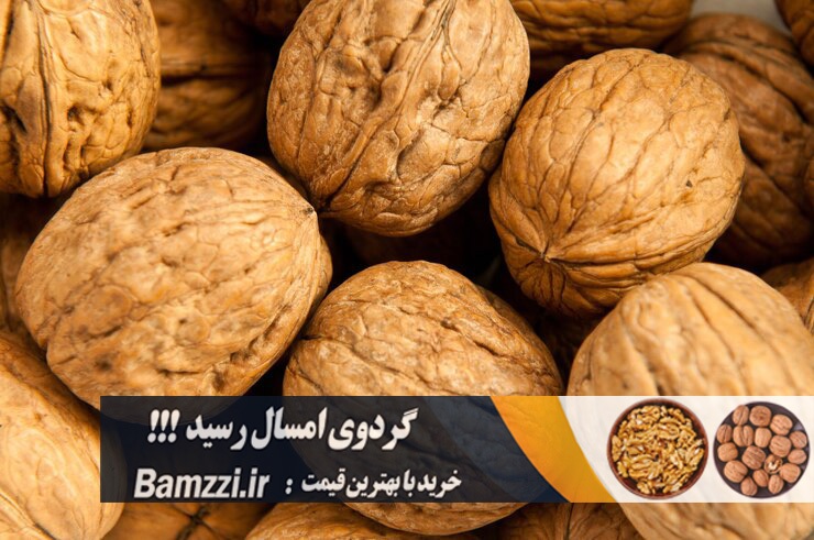 قیمت گردو تویسرکان در سال 1404 چقدر است؟