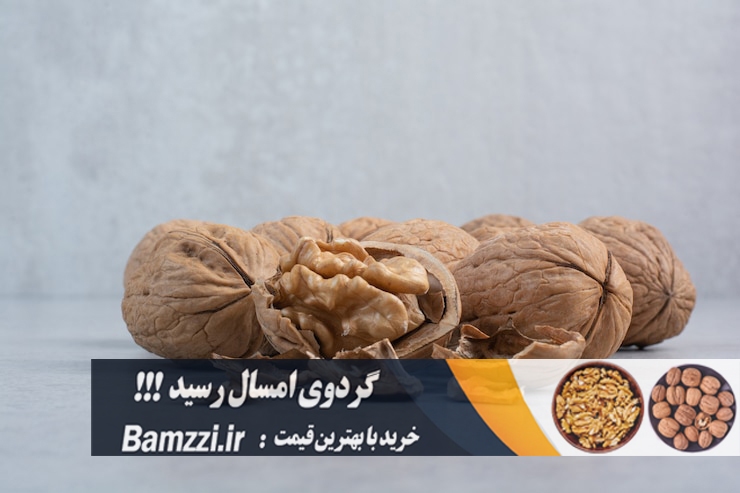 قیمت گردو تویسرکان در سال 1404 چقدر است؟