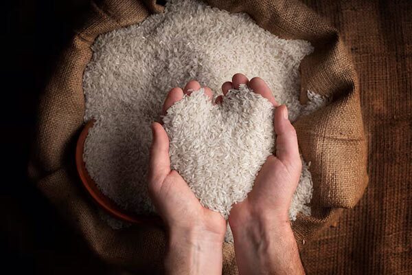 معرفی بهترین برنج ایرانی