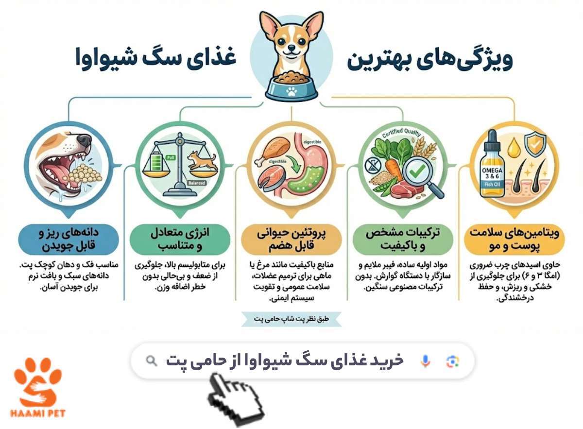 غذای سگ شیواوا چی بدیم؟ پیشنهاد پت شاپ حامی پت