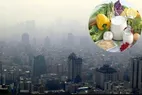 بهتریت تغذیه برای مقابله با آلودگی هوا | جایگزینی غذا‌های سبک به‌جای وعده‌های سنگین